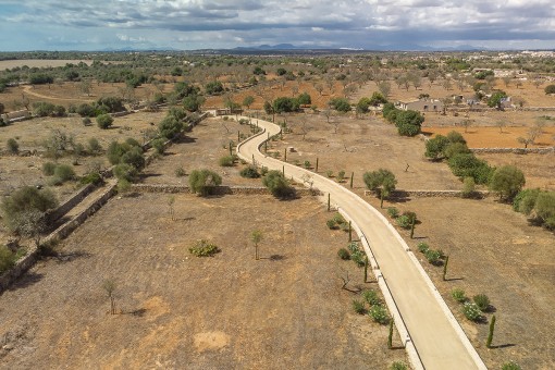 Driveway