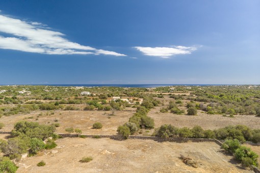 Panoramic views