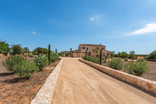 Driveway