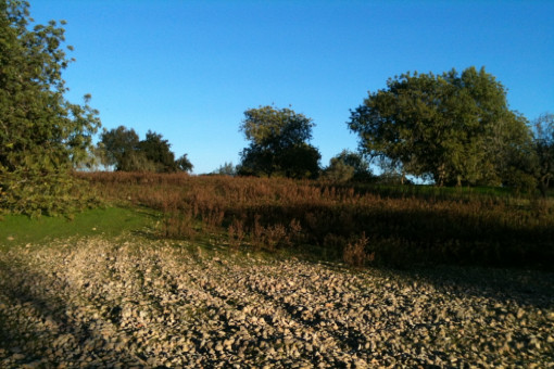 View of the plot