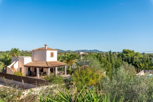 Sweeping views from the roof terrace