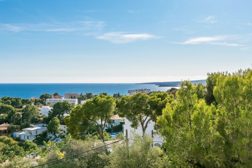 Splendid sea views