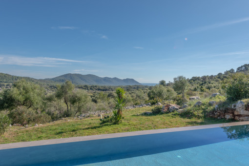 View from the pool
