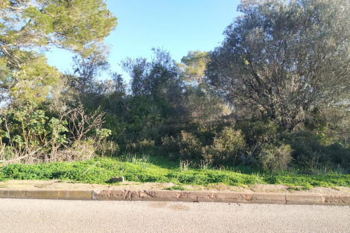 Beautiful building plot for a single-family detached house in a quiet location in Son Moja