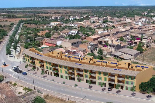 The project from a birds-eye view