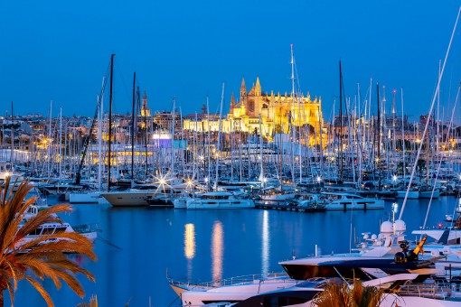 apartment in Paseo Maritimo