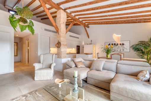 Open living area and kitchen