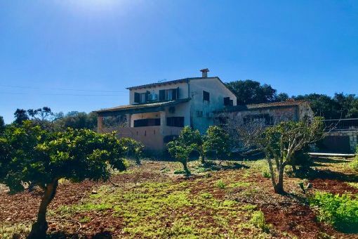 finca in Llubi