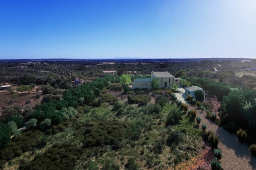 Finca from a birds-eye view