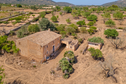 finca in San Lorenzo