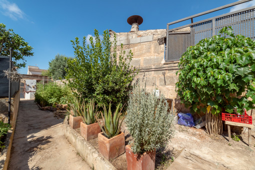 house in Llucmajor