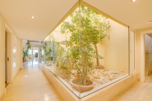 Glazed indoor patio