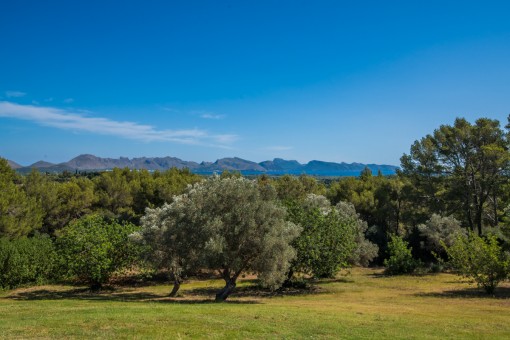 Wonderful landscape views