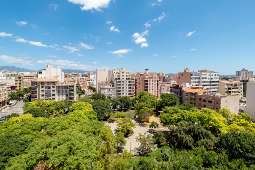 Views over the parque