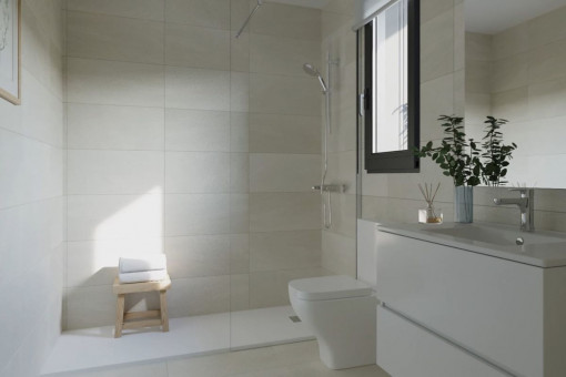 Elegant bathroom with walk-in shower