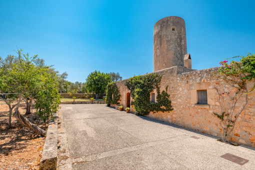 finca in Sencelles