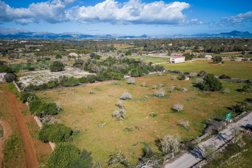 plot in Santa Margalida