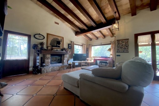 Living area with fireplace
