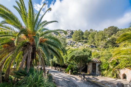 Mediterranean green plot