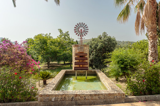 Mature garden and windmill