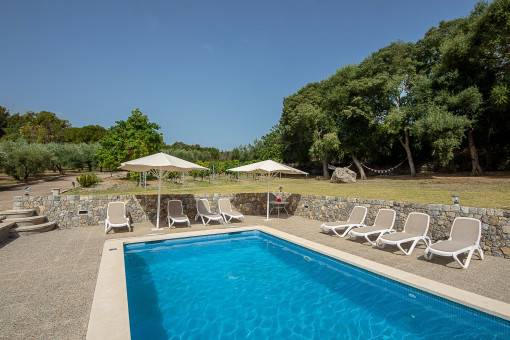 Pool surrounded by well-kept garden