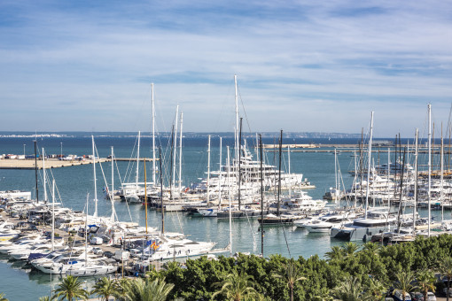 apartment in Paseo Maritimo