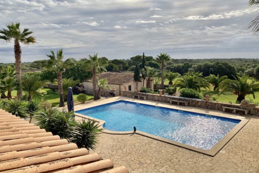 View to the pool area