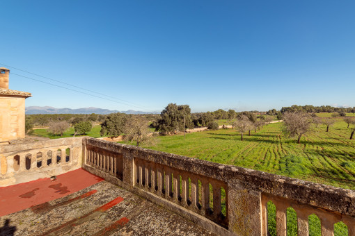 Terrace with a view