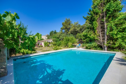 Second swimming pool of the finca