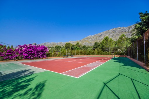 Fantastic tennis court
