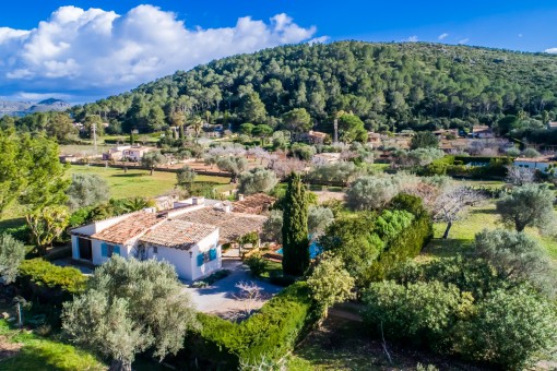 View of the finca from above