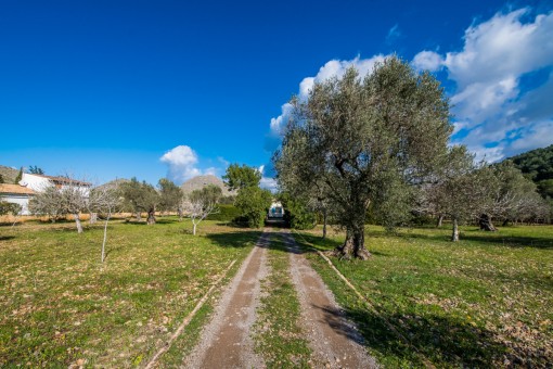 Access to the finca