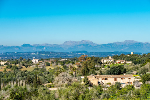 View to the sea