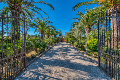 Impressive dive way to the property