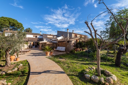 Beautifully laid-out garden