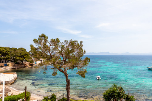 View to the beach and the sea