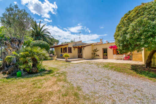 The second finca