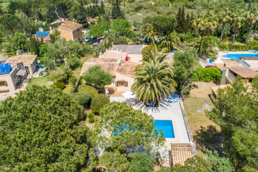 View from above