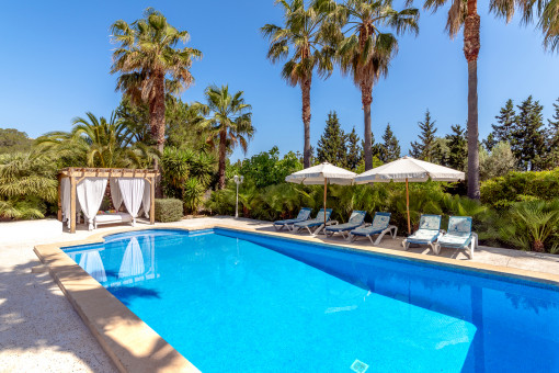 Sunny pool area