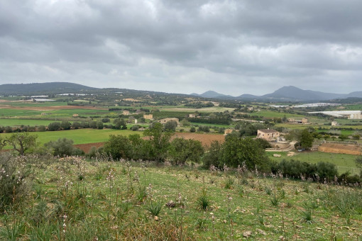 plot in Manacor-North for sale