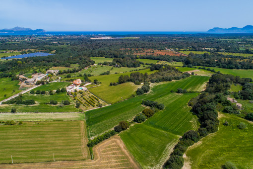 plot in Santa Margalida