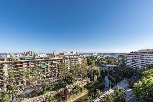 Panorama views of the Paseo Mallorca