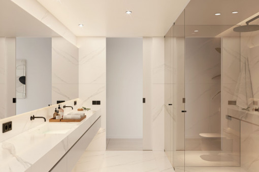 Elegant bathroom with walk-in shower