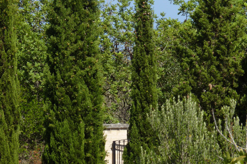 Garten  2.Haus