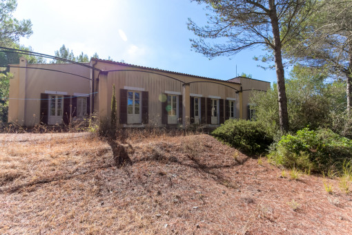 View of the studio house from the outside