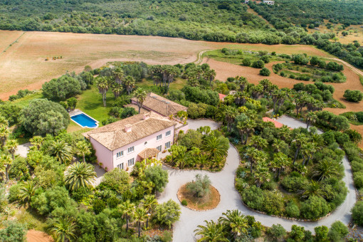 View of the access to the finca