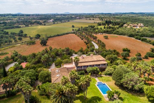 View of the mediterranean plot