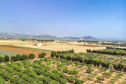 Panoramic landscape views