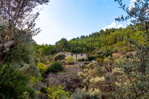 View of the finca