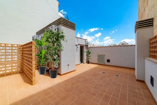 apartment in Palma de Mallorca Old Town